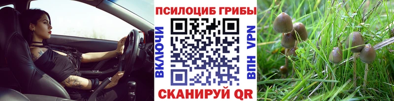 Галлюциногенные грибы Psilocybe  хочу   Касимов 